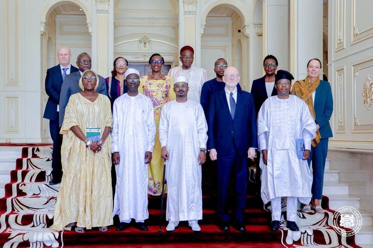 Vaccination dans le bassin du Lac-Tchad : le président tchadien reçoit une délégation de huit partenaires internationaux
